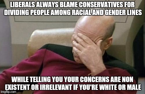 Captain Picard Facepalm | LIBERALS ALWAYS BLAME CONSERVATIVES FOR DIVIDING PEOPLE AMONG RACIAL AND GENDER LINES; WHILE TELLING YOU YOUR CONCERNS ARE NON EXISTENT OR IRRELEVANT IF YOU'RE WHITE OR MALE | image tagged in memes,captain picard facepalm | made w/ Imgflip meme maker