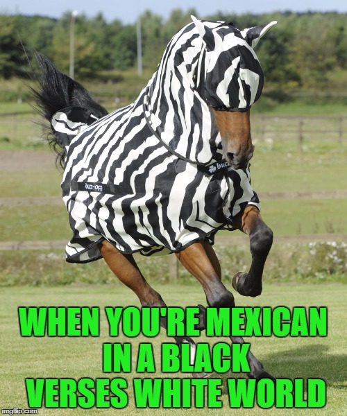 WHEN YOU'RE MEXICAN IN A BLACK VERSES WHITE WORLD | made w/ Imgflip meme maker