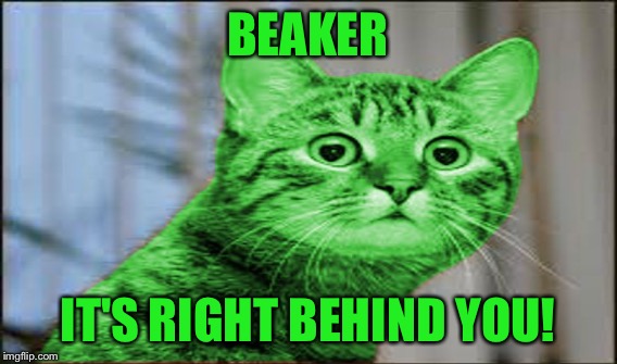 BEAKER IT'S RIGHT BEHIND YOU! | made w/ Imgflip meme maker