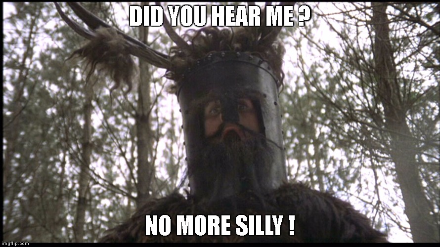Monty Python Knights | DID YOU HEAR ME ? NO MORE SILLY ! | image tagged in monty python knights | made w/ Imgflip meme maker
