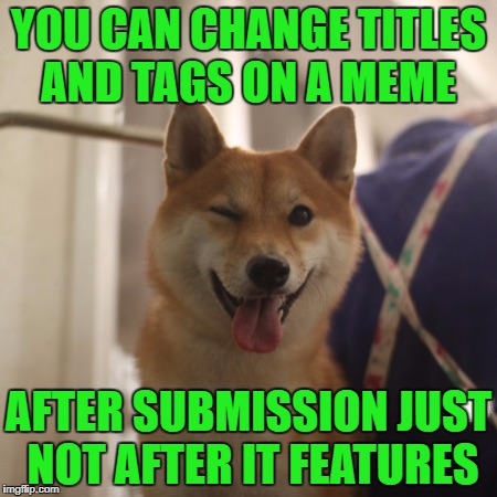 YOU CAN CHANGE TITLES AND TAGS ON A MEME AFTER SUBMISSION JUST NOT AFTER IT FEATURES | made w/ Imgflip meme maker