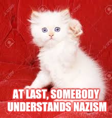 Nazi Kitty | AT LAST, SOMEBODY UNDERSTANDS NAZISM | image tagged in nazi kitty | made w/ Imgflip meme maker