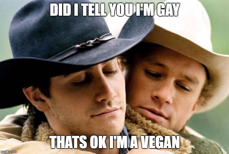 brokeback mountain | DID I TELL YOU I'M GAY; THATS OK I'M A VEGAN | image tagged in brokeback mountain | made w/ Imgflip meme maker