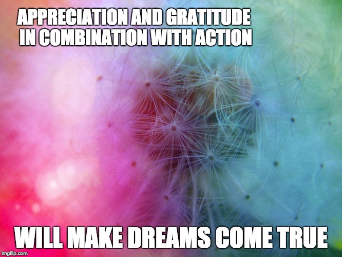 Make Dreams Come True | APPRECIATION AND GRATITUDE IN COMBINATION WITH ACTION; WILL MAKE DREAMS COME TRUE | image tagged in memes,dreams,gratitude,reactions,appreciation,flowers | made w/ Imgflip meme maker