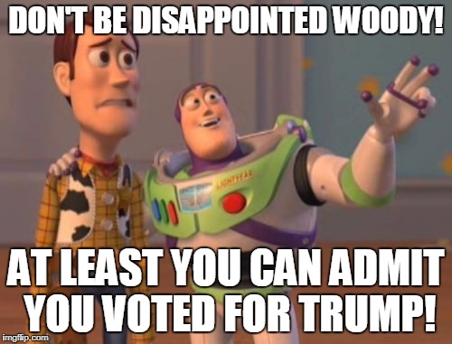 X, X Everywhere | DON'T BE DISAPPOINTED WOODY! AT LEAST YOU CAN ADMIT YOU VOTED FOR TRUMP! | image tagged in memes,x x everywhere | made w/ Imgflip meme maker