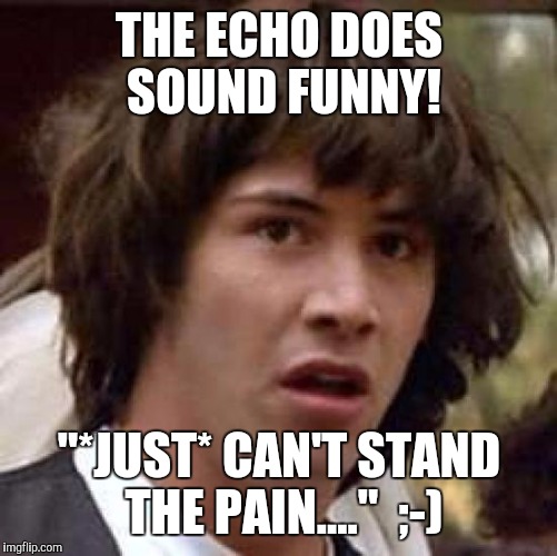 Conspiracy Keanu Meme | THE ECHO DOES SOUND FUNNY! "*JUST* CAN'T STAND THE PAIN...."  ;-) | image tagged in memes,conspiracy keanu | made w/ Imgflip meme maker