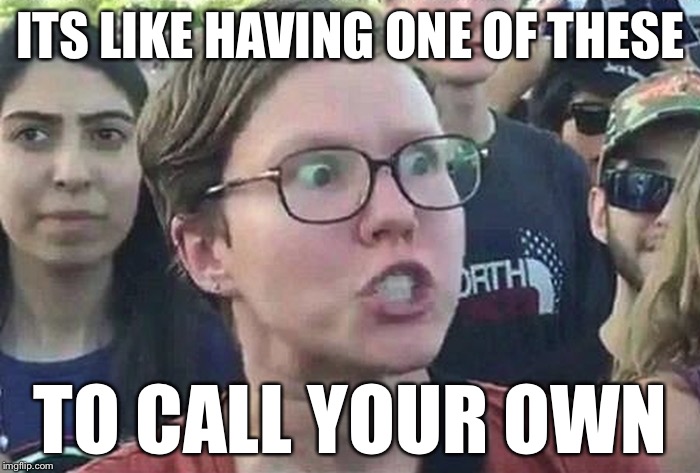 ITS LIKE HAVING ONE OF THESE TO CALL YOUR OWN | made w/ Imgflip meme maker
