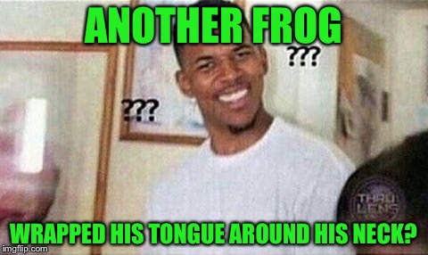 ANOTHER FROG WRAPPED HIS TONGUE AROUND HIS NECK? | made w/ Imgflip meme maker
