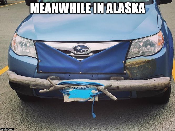 MEANWHILE IN ALASKA | image tagged in alaska | made w/ Imgflip meme maker