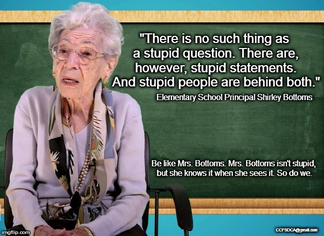 Mrs. Bottoms knows Stupid | "There is no such thing as a stupid question. There are, however, stupid statements. And stupid people are behind both."; Elementary School Principal Shirley Bottoms; Be like Mrs. Bottoms. Mrs. Bottoms isn't stupid, but she knows it when she sees it. So do we. CCFSDCA@gmail.com | image tagged in stupid | made w/ Imgflip meme maker