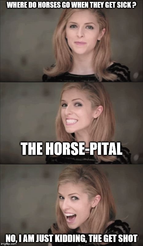 Bad Pun Anna Kendrick | WHERE DO HORSES GO WHEN THEY GET SICK ? THE HORSE-PITAL; NO, I AM JUST KIDDING, THE GET SHOT | image tagged in memes,bad pun anna kendrick | made w/ Imgflip meme maker