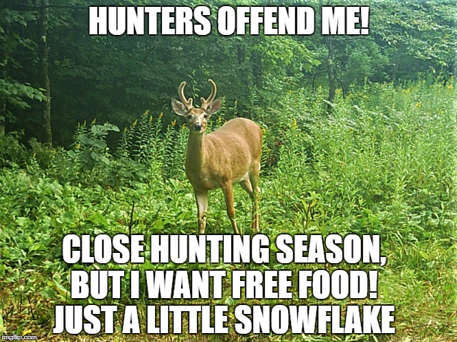 deer | HUNTERS OFFEND ME! CLOSE HUNTING SEASON, BUT I WANT FREE FOOD!
 JUST A LITTLE SNOWFLAKE | image tagged in snowflake | made w/ Imgflip meme maker