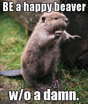 Postal beaver is a CRY for help.  The antidote is real laughter habits. | BE a happy beaver; w/o a damn. | image tagged in happy | made w/ Imgflip meme maker
