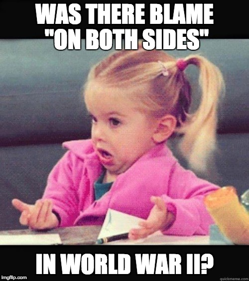 Shrug | WAS THERE BLAME "ON BOTH SIDES"; IN WORLD WAR II? | image tagged in shrug | made w/ Imgflip meme maker