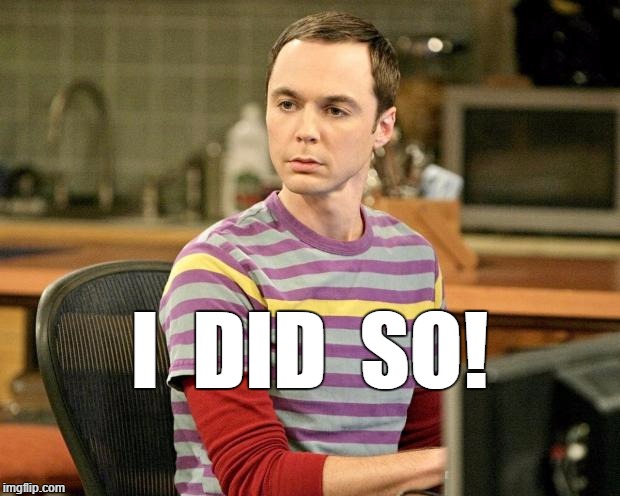 Yes I Did!   | I  DID  SO! | image tagged in trivia sheldon | made w/ Imgflip meme maker