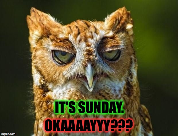 Day Of Rest, Dammit (lol) | OKAAAAYYY??? IT'S SUNDAY. | image tagged in bored owl | made w/ Imgflip meme maker