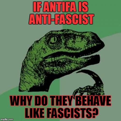 Philosoraptor | IF ANTIFA IS ANTI-FASCIST; WHY DO THEY BEHAVE LIKE FASCISTS? | image tagged in memes,philosoraptor | made w/ Imgflip meme maker