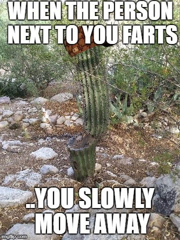 WHEN THE PERSON NEXT TO YOU FARTS; ..YOU SLOWLY MOVE AWAY | image tagged in cactus,arizona,tucson,mother nature | made w/ Imgflip meme maker