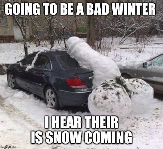 GOING TO BE A BAD WINTER; I HEAR THEIR IS SNOW COMING | image tagged in snow balls | made w/ Imgflip meme maker