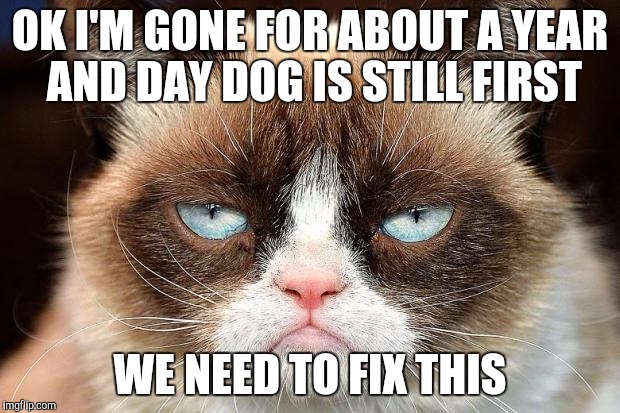 Grumpy Cat Not Amused Meme | OK I'M GONE FOR ABOUT A YEAR AND DAY DOG IS STILL FIRST; WE NEED TO FIX THIS | image tagged in memes,grumpy cat not amused,grumpy cat | made w/ Imgflip meme maker