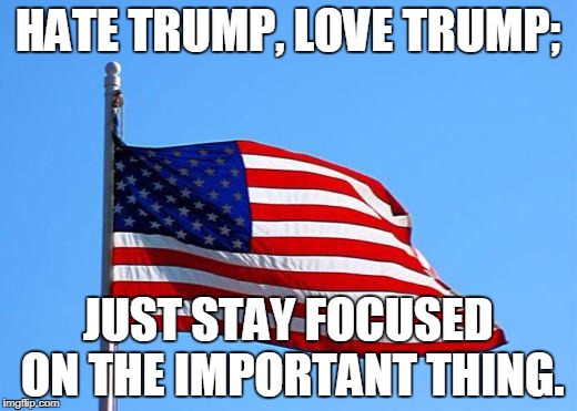 American flag | HATE TRUMP, LOVE TRUMP;; JUST STAY FOCUSED ON THE IMPORTANT THING. | image tagged in american flag | made w/ Imgflip meme maker