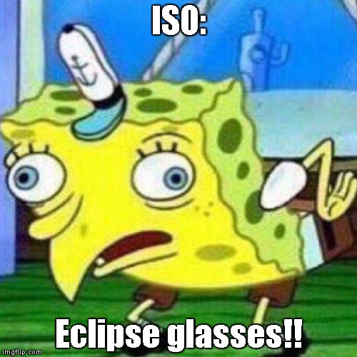 ISO:; Eclipse glasses!! | image tagged in stfu,enough,too late,no glasses for you | made w/ Imgflip meme maker