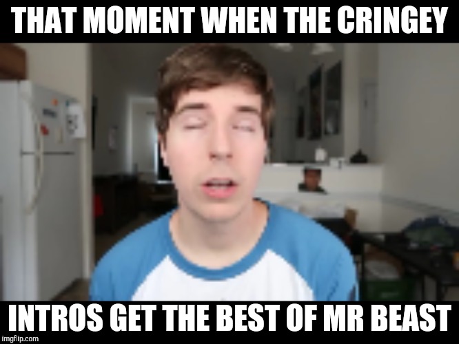 THAT MOMENT WHEN THE CRINGEY; INTROS GET THE BEST OF MR BEAST | image tagged in cringe worthy | made w/ Imgflip meme maker