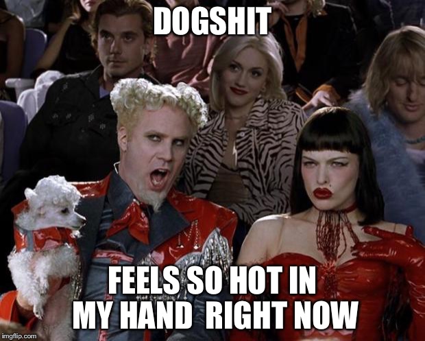 Mugatu So Hot Right Now Meme | DOGSHIT; FEELS SO HOT IN MY HAND  RIGHT NOW | image tagged in memes,mugatu so hot right now | made w/ Imgflip meme maker