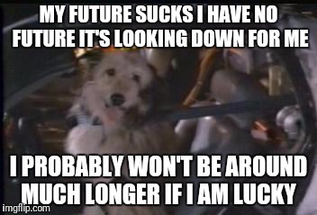 Back to the Future Einstein | MY FUTURE SUCKS I HAVE NO FUTURE IT'S LOOKING DOWN FOR ME; I PROBABLY WON'T BE AROUND MUCH LONGER IF I AM LUCKY | image tagged in back to the future einstein | made w/ Imgflip meme maker