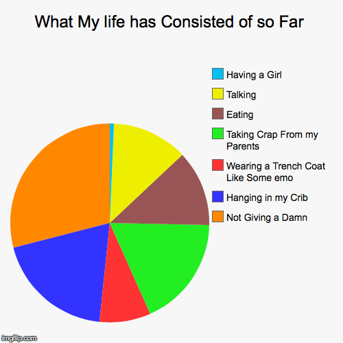 image tagged in funny,pie charts | made w/ Imgflip chart maker