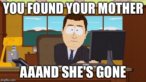 Aaaaand Its Gone Meme | YOU FOUND YOUR MOTHER AAAND SHE'S GONE | image tagged in memes,aaaaand its gone | made w/ Imgflip meme maker