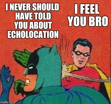 robin slaps batman no bubble | I NEVER SHOULD HAVE TOLD YOU ABOUT ECHOLOCATION I FEEL YOU BRO | image tagged in robin slaps batman no bubble | made w/ Imgflip meme maker