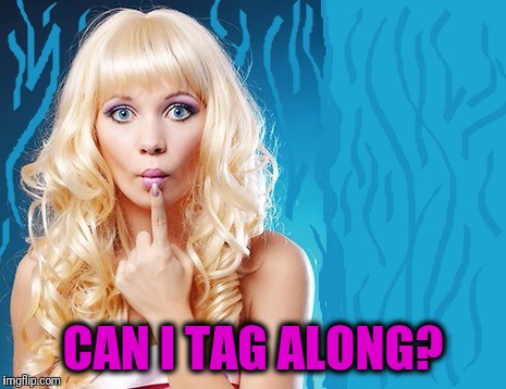 ditzy blonde | CAN I TAG ALONG? | image tagged in ditzy blonde | made w/ Imgflip meme maker