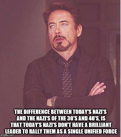 Face You Make Robert Downey Jr Meme | THE DIFFERENCE BETWEEN TODAY'S NAZI'S AND THE NAZI'S OF THE 30'S AND 40'S, IS THAT TODAY'S NAZI'S DON'T HAVE A BRILLIANT LEADER TO RALLY THEM AS A SINGLE UNIFIED FORCE | image tagged in memes,face you make robert downey jr | made w/ Imgflip meme maker