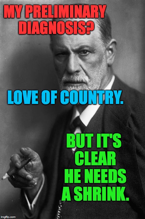 He needs a shrink and a psychiatrist.  In that order. | MY PRELIMINARY DIAGNOSIS? BUT IT'S CLEAR HE NEEDS A SHRINK. LOVE OF COUNTRY. | image tagged in memes,freud,funny | made w/ Imgflip meme maker