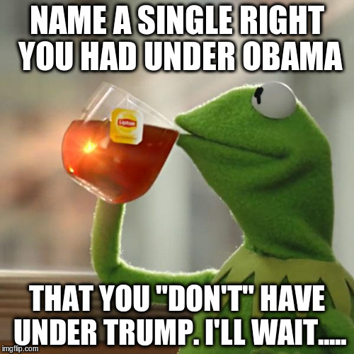 Rights.  | NAME A SINGLE RIGHT YOU HAD UNDER OBAMA; THAT YOU "DON'T" HAVE UNDER TRUMP. I'LL WAIT..... | image tagged in memes,but thats none of my business,kermit the frog,obama,trump | made w/ Imgflip meme maker