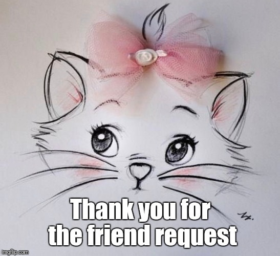 Thank you for the friend request | made w/ Imgflip meme maker