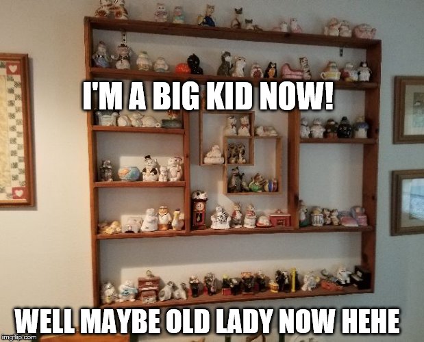 Old Lady Wall | I'M A BIG KID NOW! WELL MAYBE OLD LADY NOW HEHE | image tagged in old lady wall,clutter  meme,collector meme | made w/ Imgflip meme maker