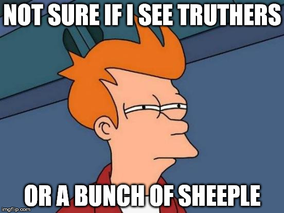 Not Sure If I See Truthers... | NOT SURE IF I SEE TRUTHERS; OR A BUNCH OF SHEEPLE | image tagged in memes,futurama fry,truth,funny,sheep,knowledge | made w/ Imgflip meme maker