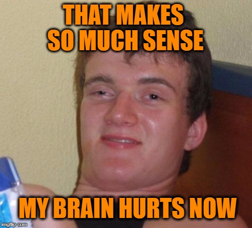 10 Guy Meme | THAT MAKES SO MUCH SENSE MY BRAIN HURTS NOW | image tagged in memes,10 guy | made w/ Imgflip meme maker
