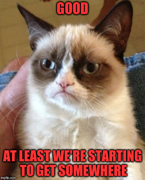 Grumpy Cat Meme | GOOD AT LEAST WE'RE STARTING TO GET SOMEWHERE | image tagged in memes,grumpy cat | made w/ Imgflip meme maker