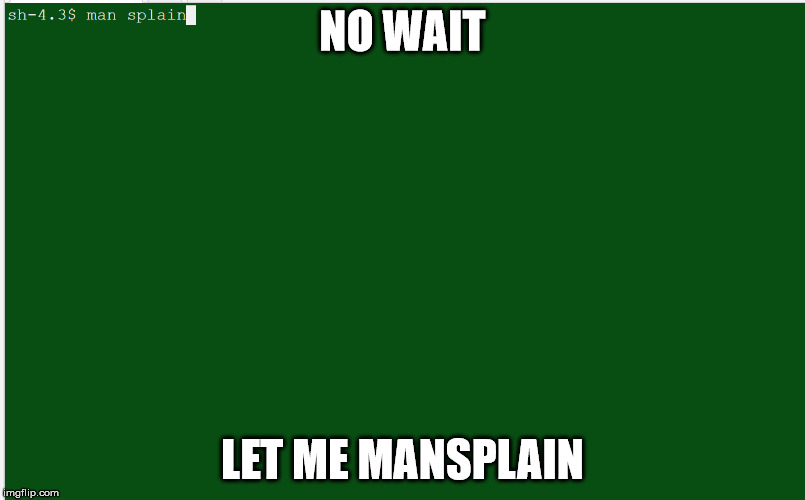 NO WAIT; LET ME MANSPLAIN | made w/ Imgflip meme maker