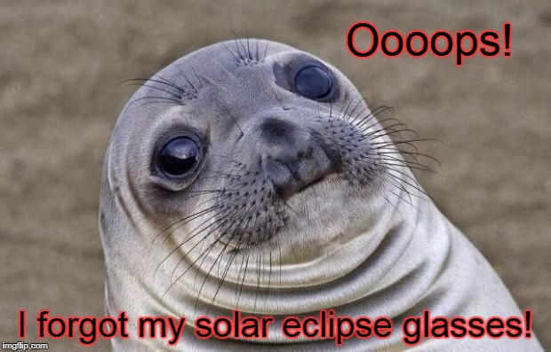 Awkward Moment Sealion Meme | Oooops! I forgot my solar eclipse glasses! | image tagged in memes,awkward moment sealion | made w/ Imgflip meme maker