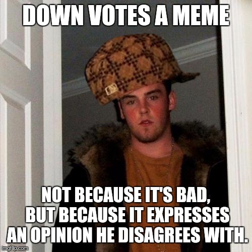 If you disagree with an opinion in a meme, just ignore it! | DOWN VOTES A MEME; NOT BECAUSE IT'S BAD, BUT BECAUSE IT EXPRESSES AN OPINION HE DISAGREES WITH. | image tagged in memes,scumbag steve,scumbag | made w/ Imgflip meme maker
