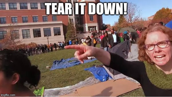 Melissa Click | TEAR IT DOWN! | image tagged in melissa click | made w/ Imgflip meme maker