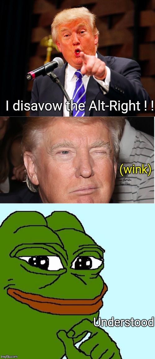 Wink, wink | I disavow the Alt-Right ! ! (wink); Understood | image tagged in dank memes,donald trump,pepe the frog,maga,charlottesville | made w/ Imgflip meme maker
