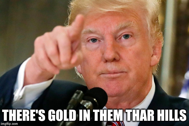 THERE'S GOLD IN THEM THAR HILLS | made w/ Imgflip meme maker