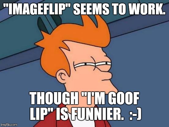 Futurama Fry Meme | "IMAGEFLIP" SEEMS TO WORK. THOUGH "I'M GOOF LIP" IS FUNNIER.  :-) | image tagged in memes,futurama fry | made w/ Imgflip meme maker