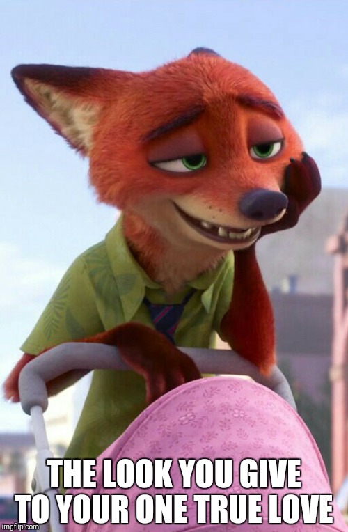 Nick Wilde in love | THE LOOK YOU GIVE TO YOUR ONE TRUE LOVE | image tagged in nick wilde smile,zootopia,nick wilde,funny,memes | made w/ Imgflip meme maker