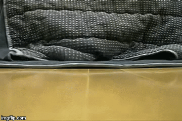 Hide n Go Peek ! | image tagged in gifs,loyalsockatxhamster,cats,funny stuff | made w/ Imgflip video-to-gif maker